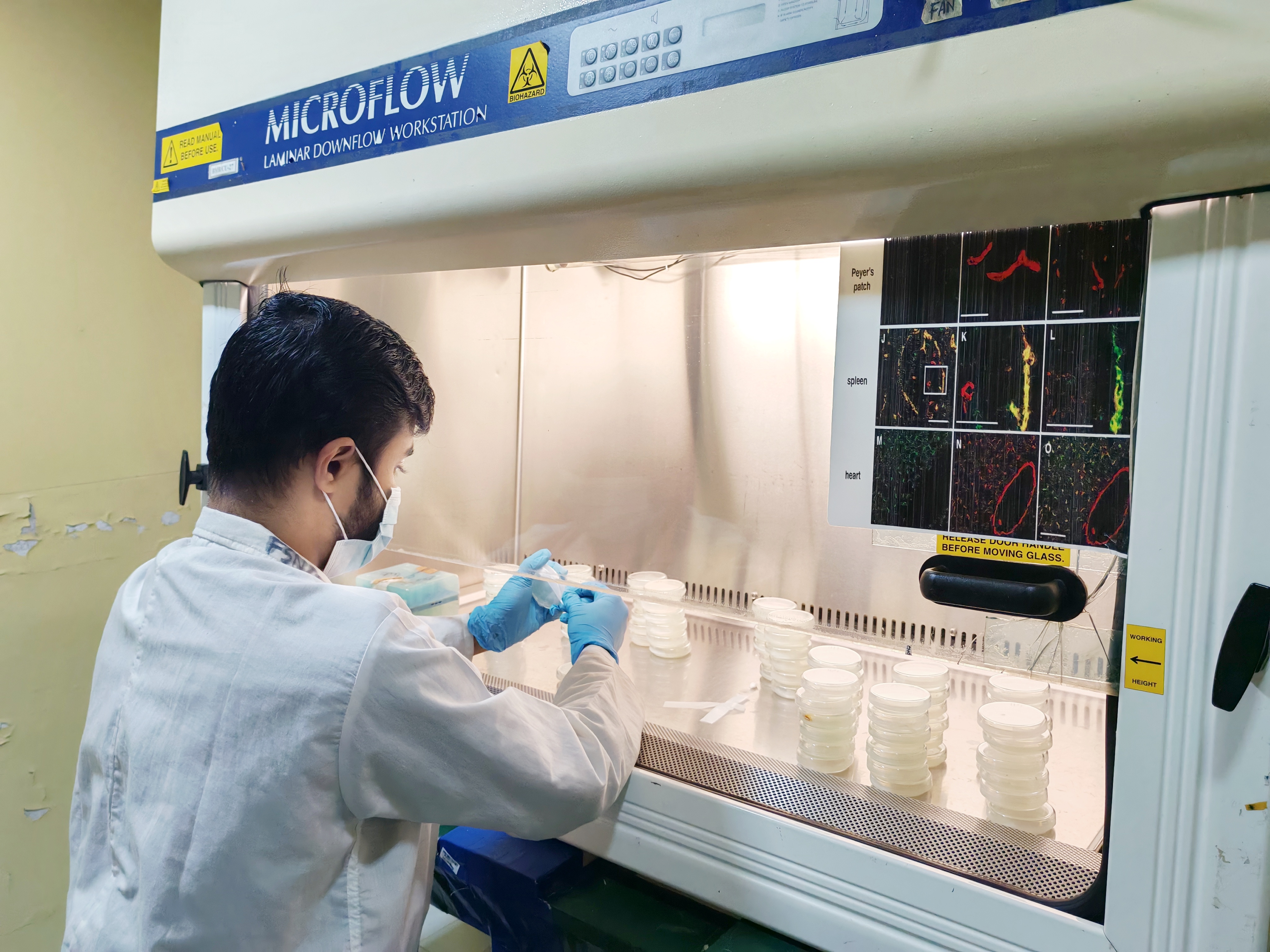 Regular laboratory work